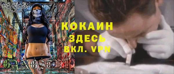 молекула духа Алзамай