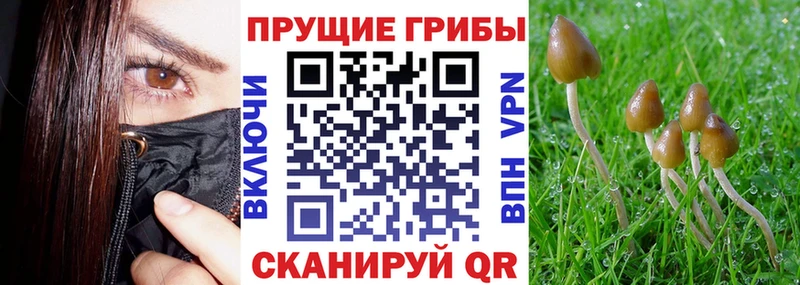 Псилоцибиновые грибы мухоморы Каменск-Уральский
